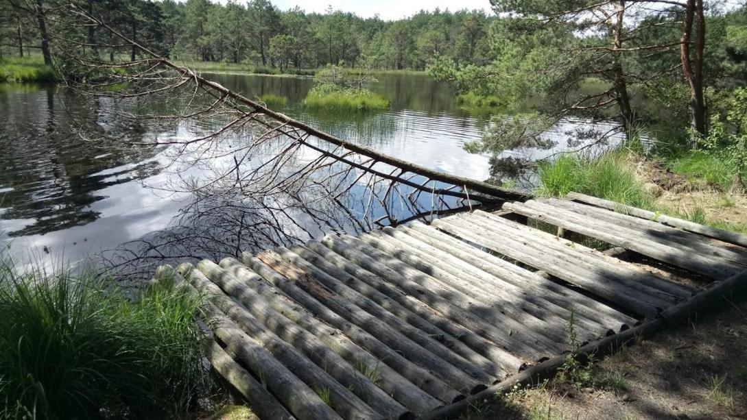 Ostoja Sosnowa Czarny Mlyn, Kompleks Dwoch Nowych Domkow Exterior photo